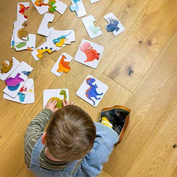 My First Match It! Dinosaur Friends